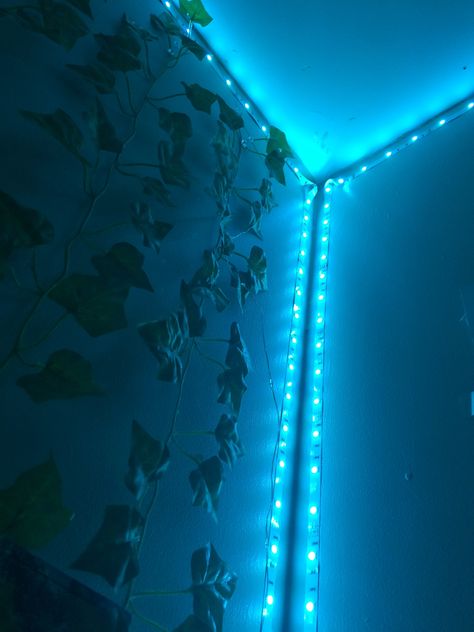 2 up red🌟. 24 up green🌙 13 up blue⚡️ Teal Led Lights, Led Lighting Bedroom, Blue Pill, Lighting Bedroom, Blue Led Lights, Light Turquoise, Bedroom Lighting, Tiffany Blue, Led Lighting