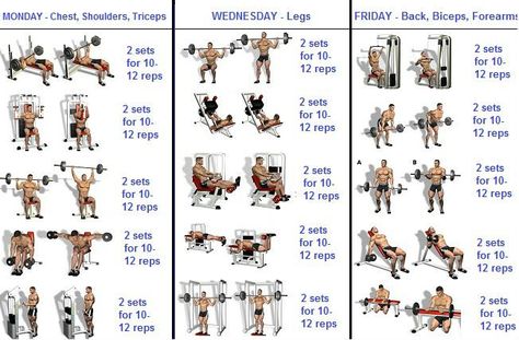 8 Weeks Workout Programme For Beginners - GymGuider.com Workout Programme, Week Routine, Weekly Gym Workouts, Study Info, Gym Program, Fitness Studio Training, Workout Hiit, Workout Plan For Men, Gym Plan