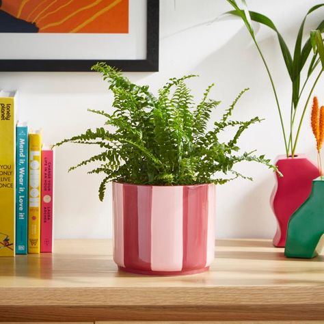 Elements Striped Ceramic Plant Pot | Dunelm Christmas Furniture, Garden Plant Pots, Home Garden Plants, Ceramic Plant Pots, Pink Ceramic, Home Decor Lights, Kids Storage, Ceramic Pot, Pottery Painting