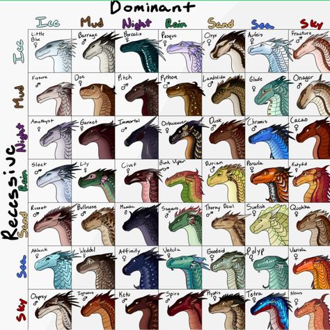 Wof Adopts, Dragon Chart, Challenge Template, Types Of Dragons, Fire Drawing, Wings Of Fire Dragons, Dragon Sketch, Dragon Trainer, Fire Art