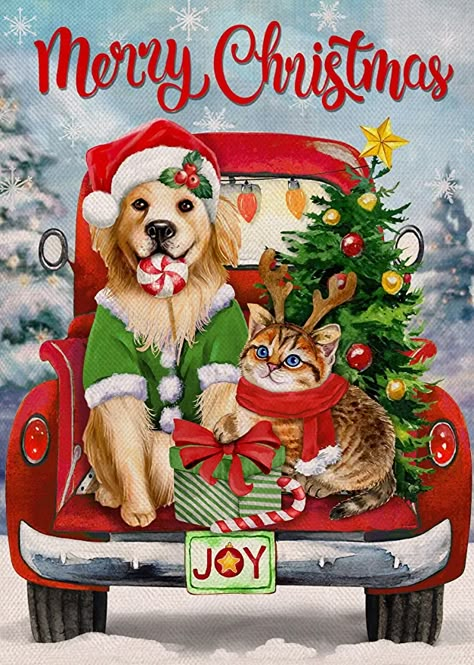 Merry Christmas Images Dogs, Merry Christmas Cute Pictures, Dog And Cat Christmas Pictures, Merry Christmas Dogs, Merry Christmas Cats, Merry Christmas Images Cute, Merry Christmas Art, Cat Christmas, Dog Christmas