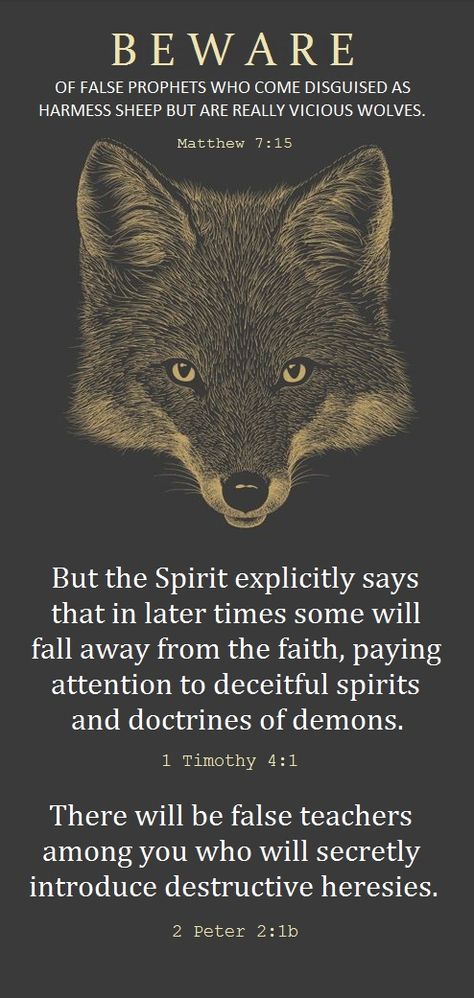 Be careful who you let lead you. Anyone can spout on about how they love Jesus, they can try to dress the part, but you can learn discernment over time with God's help. SO MANY false prophets today. They are everywhere...and they do not know our Lord so they cannot lead you. 5 Solas, False Teachers, God's Help, Bible King James Version, False Prophets, 2 Peter, The Holy Bible, Bible Prophecy, Biblical Quotes