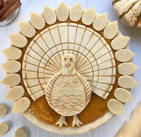 Honey Crisp Apple Pie, Thanksgiving Pie Crust, Creative Pie Crust, Pretty Pie Crust, Fancy Pie Crust, Pie Crust Art, Pumpkin Pie Crust, Beautiful Pie Crusts, Crust Designs