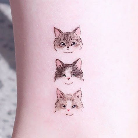 Three Cute Kitten Faces Tattoo Three Dogs Tattoo, Three Cat Tattoo, Three Cats Tattoo, Ragdoll Cat Tattoo, Cat Face Tattoo, A Cat Tattoo, Bday Tattoo, Faces Tattoo, Cat Face Tattoos