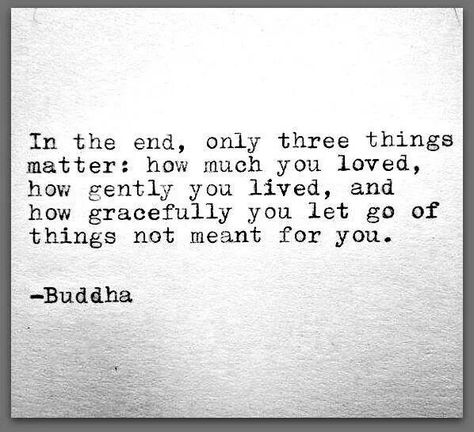 how gracefully you let go of things not meant for you.. In The End All That Matters Quotes, In The End Only Three Things Matter, Positive Motivation, Words Worth, Words To Remember, Seashell Crafts, Quotable Quotes, Next Chapter, Some Words