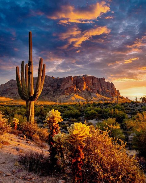 Superstition Mountains Arizona, Arizona Sunrise, Arizona Aesthetic, Arizona Mountains, Desert Scenes, Desert Aesthetic, Visit Arizona, Arizona Sunset, Superstition Mountains