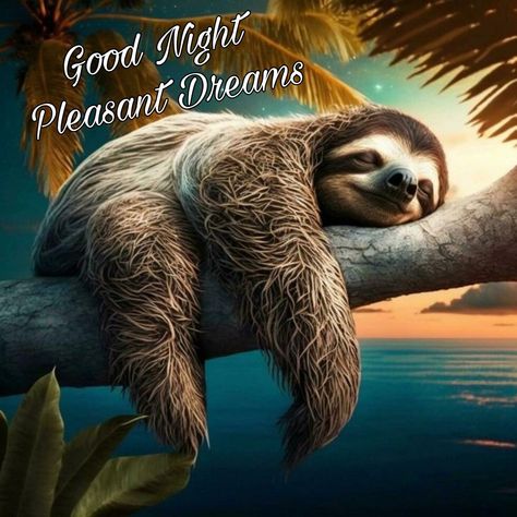 Sloth Art, Jungle Room, Altered Book Art, Sloth Lovers, Cool Wallpapers Cartoon, Phone Wallpaper Images, Angel Art, Animal Tattoos, Exotic Pets