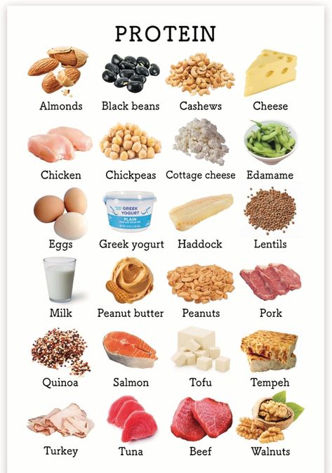 High Protein Veggies, Food High In Protein, Low Carb Challenge, Good Protein Foods, Boxing Workout Routine, Tips To Gain Weight, Cheap Protein, Healthy Proteins, Volume Eating