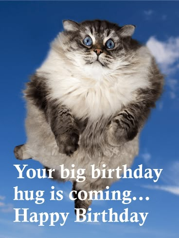 Big Birthday Hug is Coming! Funny Birthday Card