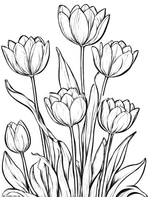 Easter Flowers Drawing, Flower Colouring Pages, Sketching Flowers, Spring Coloring Pages, Flower Outline, Bee Tattoo, Zentangle Drawings, Pressed Flower Art, Flower Coloring Pages