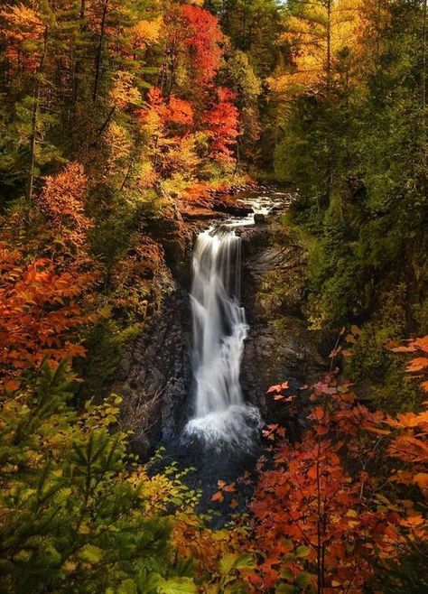 Maine Travel, Autumn Scenes, Autumn Scenery, Fall Pictures, Beautiful Waterfalls, Autumn Landscape, Landscape Ideas, Autumn Photography, Beautiful Places To Visit