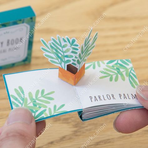 Miniature book (Toropical plant) - Miniature world - Toys - Paper Craft - Canon Creative Park Pop Up Book Printable, Park Miniature, Diy Pop Up Book, Arte Pop Up, Pop Up Books, Pop Up Art, Paper Pop, Papercraft Printable, Instruções Origami