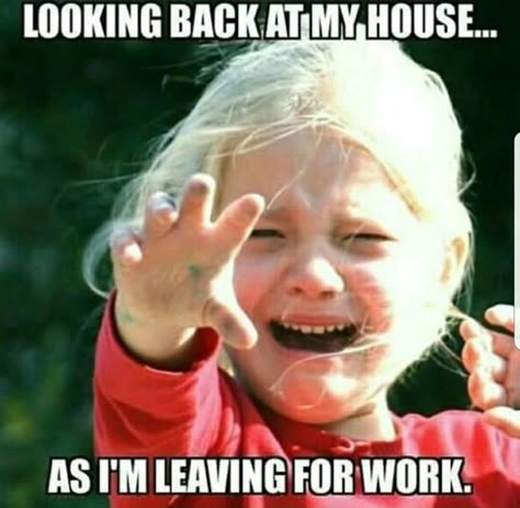 Funny Memes about Working - When you don't want to leave the house for work. Funny Quotes About Work, Funny Work Memes, Quotes About Work, Work Funnies, Job Humor, Workplace Humor, Work Funny, Work Quotes Funny, Work Jokes