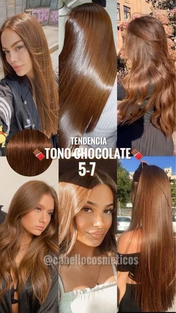 CabelloCosmeticos on Instagram: "TONO EN TENDENCIA CHOCOLATE COBRIZO 5-7 IGORA ROYAL❤️😍 ¿Lo usarías? ⭐️🍫 Estos son los mejores tintes con una compensación de color perfecta, duración del color prolongada con una excelente cobertura. Cuida el tono en casa con PROKPIL 🤩 🤎 ✨Tratamiento Prokpil para tonos Chocolate: Realza el color y matiza tonos indeseados sin químicos. Ideal usar una vez por semana. Utiliza su Agua Oxigenada Igora Royal para mejores resultados 👏🏼 Comenta IGORA y te enviamos toda la información ⬇️ ⭐️ Con gusto le atenderemos y te asesoramos de forma personalizada 💝 Contacto Whatsapp 📲 04123829416 o por Mensajería Directa 📩 📍Encuéntranos en el Stand Físico del Sambil Caracas (Plaza Central, Nivel Autopista) Stand Blanco con Morado💜" Color Formulas, Hair Color Chocolate, Honey Brown Hair, Brown Hair Looks, Highlights For Brunettes, Summer Hair Highlights, Brown Hair Inspo, Hair Color Formulas, Brunette Hair With Highlights