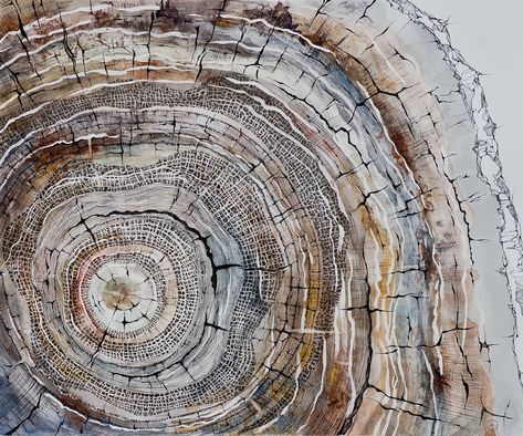 Dendrology on Behance Tree Forest Drawing, Drawing Mixed Media, Forest Drawing, Nature Artists, Tree Artwork, Watercolor Ink, Nature Drawing, Circle Art, Cross Section