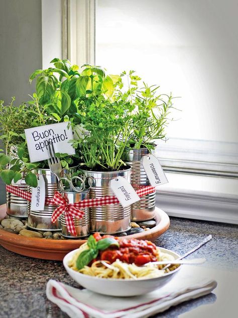 Grow your own kitchen countertop herb garden. http://www.hgtv.com/kitchens/grow-your-own-kitchen-countertop-herb-garden/index.html?soc=pinterest Herb Garden In Kitchen, Planters Diy, Diy Herb Garden, نباتات منزلية, Herb Garden Design, Kitchen Herbs, Indoor Herb, Herb Gardens, Diy Outdoor Decor