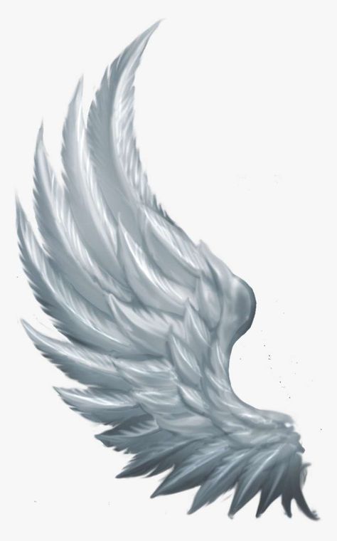 Side Angel Wings, Alas Tattoo, Angel Wings Png, Wing Tattoo Men, Angel Wings Drawing, Wings Png, Angel Wings Art, Wing Tattoo Designs, Wings Drawing