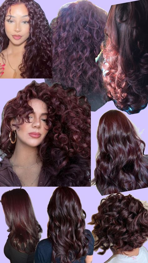 Cherry Coloured Funk, Curly Colored Hair, Dark Cherry Hair, Aesthetic Hair Styles, Cherry Vibes, Cola Hair, Cherry Cola Hair, Black Cherry Hair, Curly Hair Color