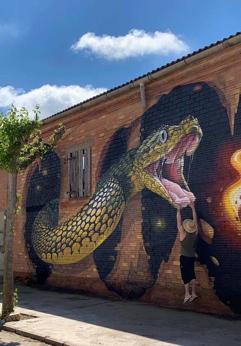 An artist creates 3D animal murals that appear to jump off the wall 3d Street Painting, Street Art Illusions, Strange Art, Graffiti Artists, Arte Peculiar, Sidewalk Chalk Art, Sidewalk Art, Animal Mural, Street Mural