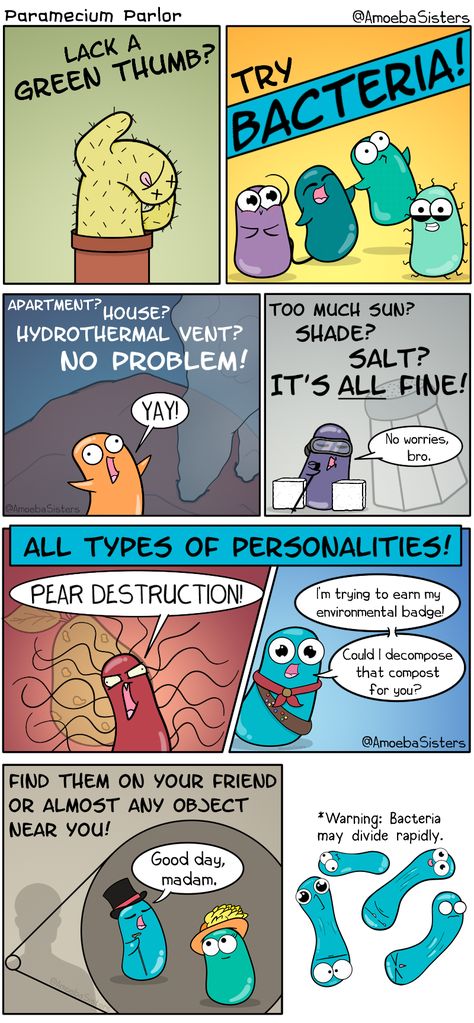 Paramecium Parlor Comics - Science with The Amoeba Sisters Cell Organelles Comic Strip, Science Comic Strip, Microbiology Poster Ideas, Biology Comics, Microbiology Aesthetic, Microbiology Humor, Strip Drawing Ideas, Comic Strip Drawing Ideas, Comic Strip Drawing