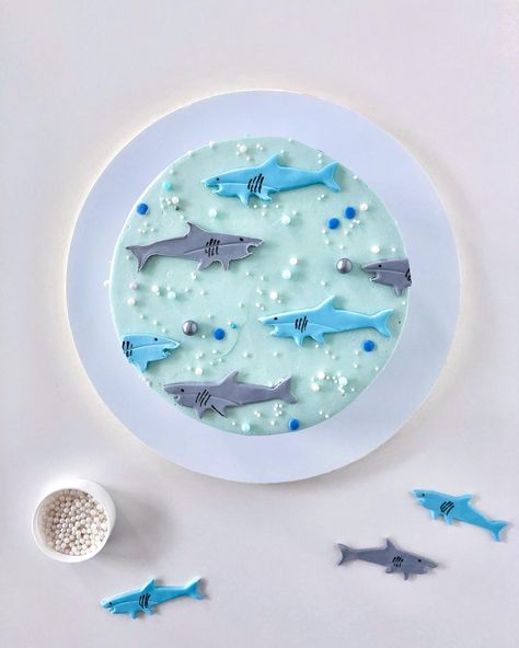 Eat Cake Be Merry - Liz Shim on Instagram: “For my shark lovin’ son on his 5th birthday! This was inspired by one of his favorite t-shirts. 🦈 The sharks were cut out of fondant. I…” Shark Cookie Cake, Whale Shark Cake, Shark Fin Cake, Ocean Mansion, Aba Crafts, Shark Themed Cakes, Ocean Birthday Cakes, Shark Birthday Cakes, Shark Cookies