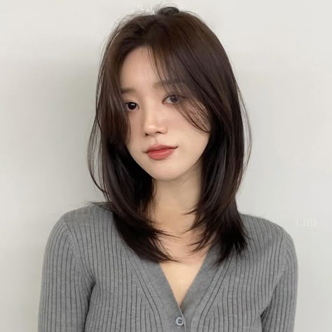 Asian Medium Length Hair Straight, Korean Mid Length Haircut, Korean Medium Layered Haircut, Midlength Haircuts With Layers Straight, Shoulder Length Hair No Layers, Middle Length Haircut With Layers, Shoulder Length Haircut Ideas, Layered Fine Hair, Oval Haircut