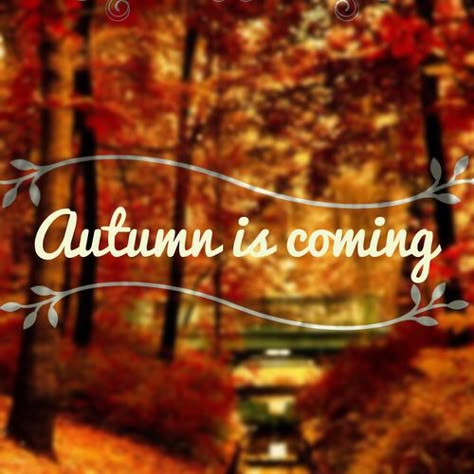 October Country, Autumn Is Coming, Happy Autumn, I Love Autumn, Everything Fall, Autumn Love, Autumn Magic, Love Autumn, Autumn Quotes