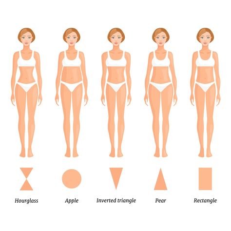 What is My Body Shape: Quickest Way To Find Your Body Type What Is My Body Shape, Body Shape Calculator, Versatile Fall Outfits, Body Shapes Women, Body Shape Guide, Types Of Body Shapes, Inverted Triangle Body Shape, Triangle Body Shape, Types Of Belly Fat