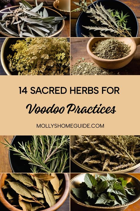 Discover the power of herbal remedies with this collection of herbs for voodoo, witchcraft, and hoodoo practices. Explore the mystique of Devil's Claw, Great Mullein, and other domination herbs. Incorporate the magic of dried herbs into your rituals or culinary dishes. Enhance your spiritual practices by incorporating Holy herb and spirit herbs into your routines. Pair power crystals with these potent herbs to amplify your intentions. Herbs For Beauty, Herbs In Witchcraft, Great Mullein, Properties Of Herbs, Culinary Dishes, African Herbs, Voodoo Rituals, Magickal Herbs, Beauty Magic
