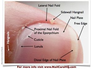 Dry Hands Remedy, Nail Tech School, Natural Nail Care, Nail Courses, Nail Techniques, Cuticle Care, Nagel Tips, Nail Repair, Nail Care Tips