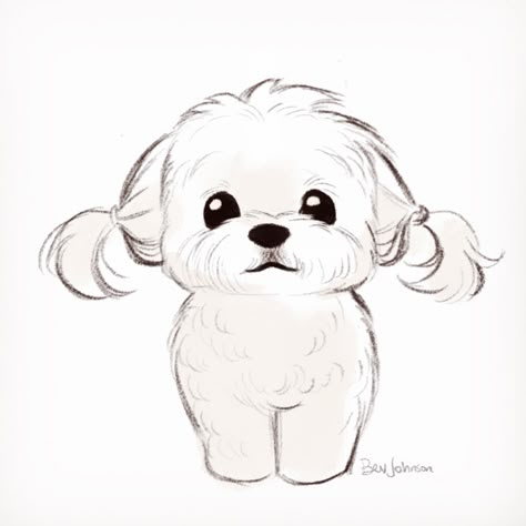 April/May 2021 Character Design & Illustration on Behance Cartoon Dog Drawing, Poodle Drawing, Cute Dog Drawing, Puppy Sketch, Dog Drawings, Dog Sketch, 강아지 그림, Pets Drawing, Cute Sketches