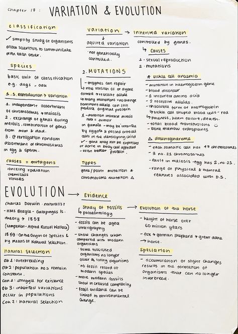 #neatnotes #neathandwriting #aestheticnotes #biologynotes #variation #evolution #genetics Genetics And Evolution Notes, Anthropology Notes College, Variation Biology Notes, Biology Notes Genetics, Evolution Notes Biology, Genetics Notes Biology, Ap Bio Notes, Evolution Notes, Genetics Notes