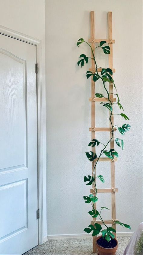 23 Creative & Modern Indoor Plant Wall Decor Ideas Plant Wall Decor Ideas, Indoor Plant Wall, نباتات منزلية, Plant Wall Decor, Ivy Vine, Hanging Plants Indoor, Deco Nature, Dekor Diy, Trellis Plants