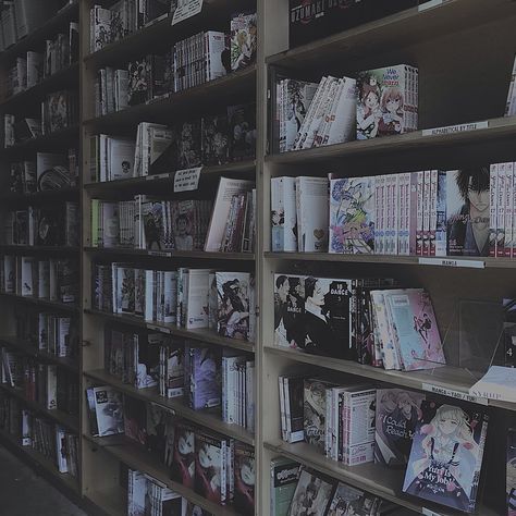 School Playlist Cover Aesthetic, Manga Store Aesthetic, Anime Core Aesthetics, Redacted Aesthetic, Library Icon Aesthetic, Manga Shop Aesthetic, Mangatheque Aesthetic, Manga Library Aesthetic, Manga Books Aesthetic