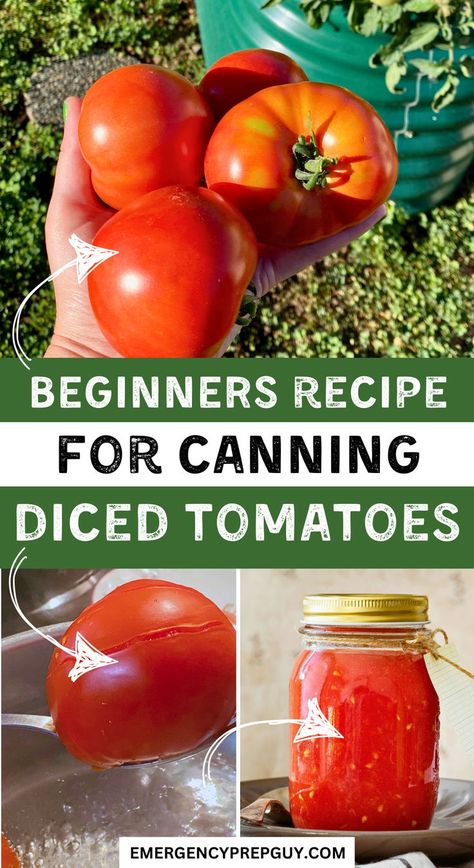 Step-by-step beginners recipe for canning diced tomatoes, showing freshly picked tomatoes held in a hand, a tomato being blanched in hot water, and a jar of canned diced tomatoes ready for storage. Water Bath Canning Stewed Tomatoes, Water Bath Canning Tomato Recipes, How To Core Tomatoes, Canning Diced Tomatoes Water Bath, Waterbath Canning Recipe, Canned Tomatoes Recipes, Canning Tomatoes For Beginners, Canning Tomatoes Water Bath, Tomato Canning Recipes