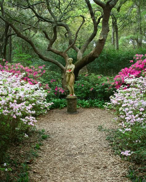 Garden Statues: Tips to Make Them Look Stunning in Your Yard Elizabethan Garden, Manteo Nc, Forest Dweller, Roanoke Island, Garden Statuary, Secret Forest, Forest Garden, Formal Gardens, Secret Gardens