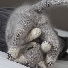 Hilde Dehaen (@minimazzel) • Instagram photos and videos Crochet Objects, Pet Sweaters, Animal Knitting Patterns, Knitted Cat, Knitting Patterns Toys, Kitten Love, Knitted Animals, Cute Kittens, Cat Pattern