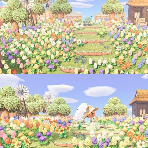 Spring Flower Field, Soul Full Of Sunshine, Forest Village, Animal Crossing Characters, New Animal Crossing, Flower Landscape, Animal Crossing Game, Island Design, Colorful Animals