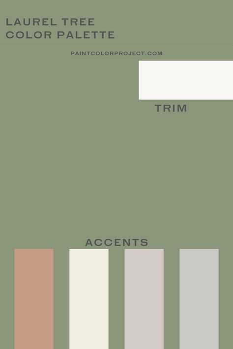 Here are the best coordinating colors to pair with Behr Laurel Tree. Laurel Tree Behr Paint, Behr Laurel Tree, Tree Color Palette, Sage Color Palette, Behr Colors, Laurel Tree, Laurel Green, Behr Paint Colors, Paint Color Schemes