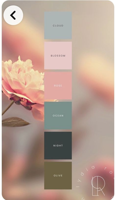 Cottagecore Colour Palette, Ethereal Color Palette, Cora Core, Peachy Color Palette, Light Academia Color Palette, Rose Branding, Natural Colour Palette, Seeds Color Palette, Feminine Color Palette