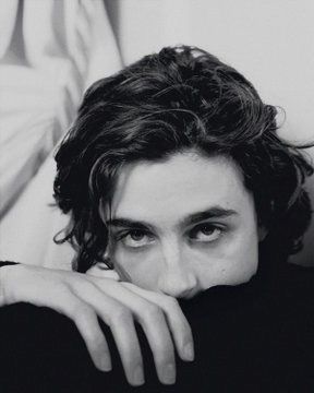 T Chalamet, Timmy Chalamet, Lil Timmy Tim, Kampot, Timmy T, Regulus Black, Call Me By Your Name, The Perfect Guy, Timothee Chalamet