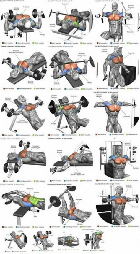 -Variações no treino de Peito. Baixe a imagem para visualizar em alta qualidade. #PsoasRelease Chest Training, Deltoid Workout, Corp Perfect, Chest Workout At Home, Chest Workout For Men, Chest Workout Routine, Latihan Dada, Workout Plan For Men, Gaining Muscle