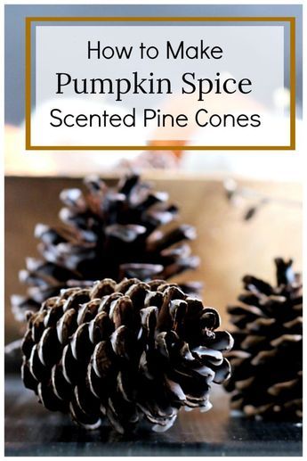 Scented Pine Cones, Homemade Potpourri, Diy Cinnamon, Scented Pinecones, Potpourri Recipes, Diy Scent, Pine Cone Art, Pinecone Crafts, Diy Pinecone