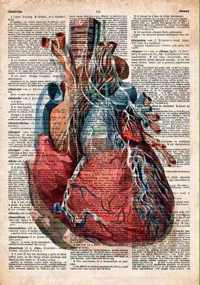 Vintage Medical Art, Anatomy Wall Art, Quirky Interior, Anatomical Heart Art, Medical Drawings, Medical School Life, Medical Posters, Medical Wallpaper, Med School Motivation