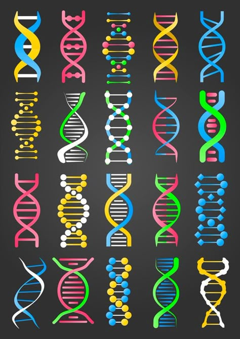 Dna Facts, Dna Tree, Dna Logo, Dna Project, Dna Tattoo, Dna Art, Scanning Electron Micrograph, Dna Molecule, Dna Design