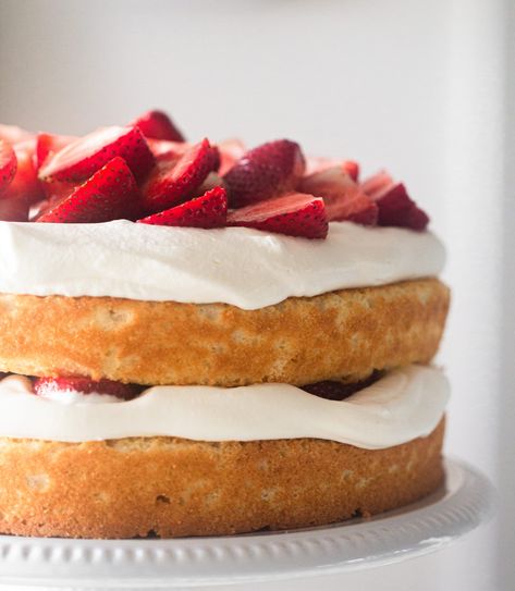 Strawberry Shortcake Cake | Jaylynn Little Classic Strawberry Shortcake, Baking Tricks, Bridgerton Party, Shortcake Cake, Strawberry Shortcake Cake, Strawberry Things, White Cake Recipe, Short Cake, Strawberry Shortcake Recipes