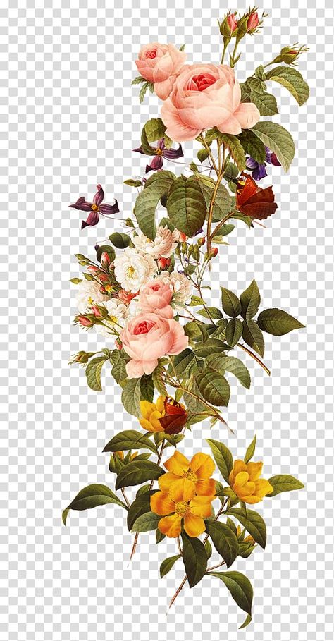 Flowers Transparent, Flower Png Images, Futurisme Retro, Flower Background Images, نباتات منزلية, Botanical Flower Art, Rose Illustration, Flower Collage, Flower Art Images