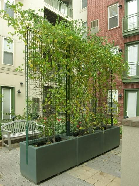 greenscreen� LA Expo 2012 Freestanding Trellis, Patio Layout Design, Patio Layout, Green Facade, Garden Privacy, Wall Garden, Backyard Garden Design, Rooftop Garden, Roof Garden