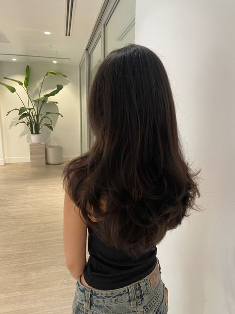 Layers, haircut, blowout, 90s Clean Girl Haircut, Hair Brunette Aesthetic, Healthy Brunette Hair, Healthy Brown Hair, Blowout 90s, Hair Claim, Haircut Blowout, Layers Curtain Bangs, Extreme Haircut