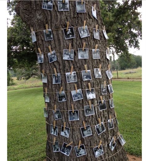 Create A Family Tree, Backyard Graduation Party, Graduation Open House, Outdoor Graduation Parties, Family Tree Photo, Outdoor Graduation, Open House Ideas, Senior Graduation Party, Graduation Open Houses